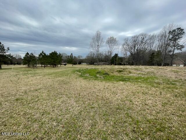 3967 McGuffee Road Clinton, MS 39056 - Photo 12 of 27 3967 McGuffee Rd