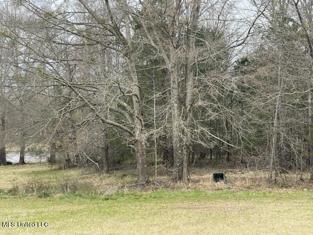 3967 McGuffee Road Clinton, MS 39056 - Photo 23 of 27 3967 McGuffee Rd