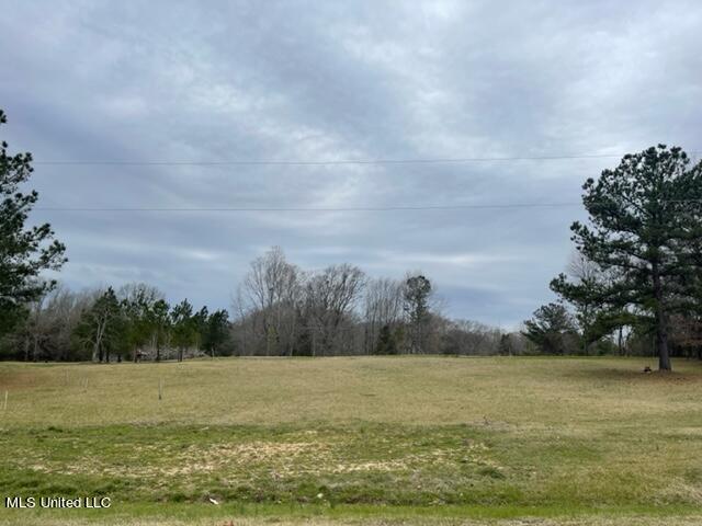 3967 McGuffee Road Clinton, MS 39056 - Photo 3 of 27 3967 McGuffee Rd