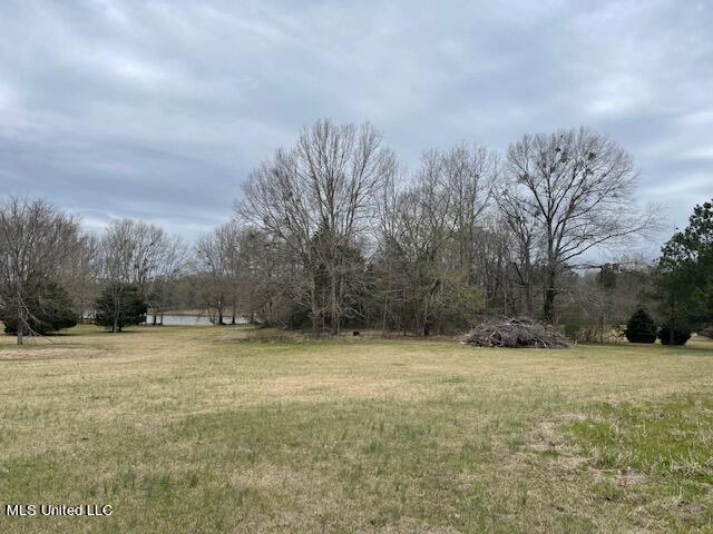 3967 McGuffee Road Clinton, MS 39056 - Photo 6 of 27 3967 McGuffee Rd