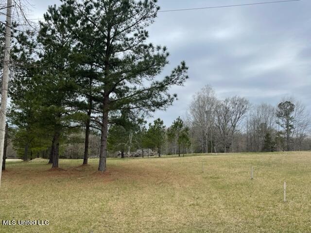 3967 McGuffee Road Clinton, MS 39056 - Photo 8 of 27 3967 McGuffee Rd