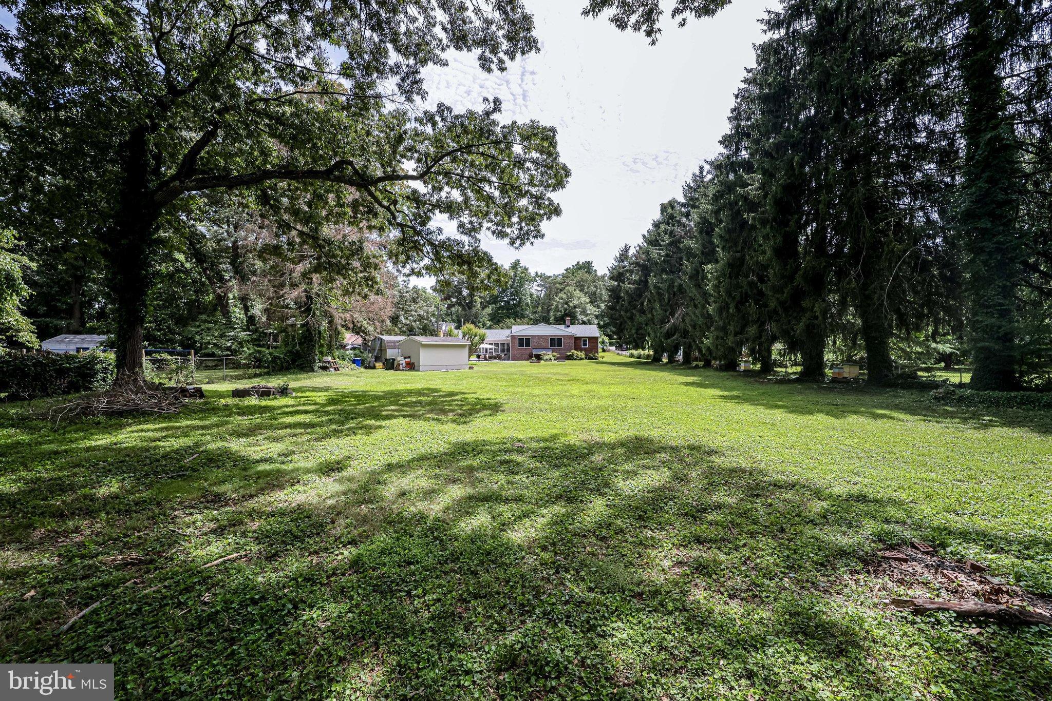 3712 Nalls Road Alexandria, VA 22309 - Photo 46 of 48 Rare 1 Acre Lot - View From Backyard