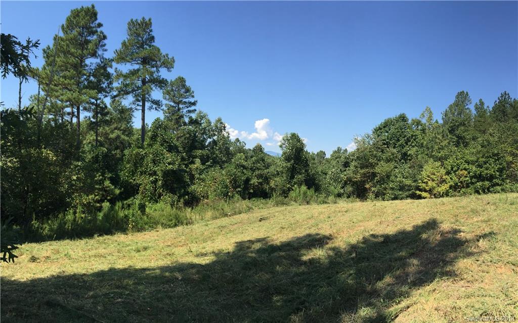 7030 Poors Ford Road Rutherfordton, NC 28139 - Photo 2 of 2 a view of a yard with a tree