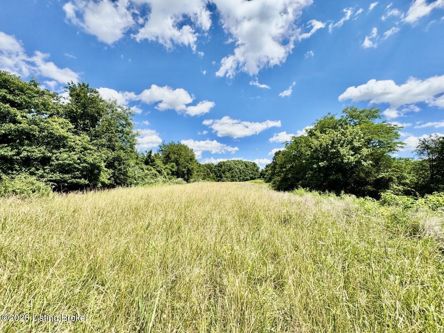 975 Long Run Road Springfield, KY 40069 - Photo 45 of 65 047_Land