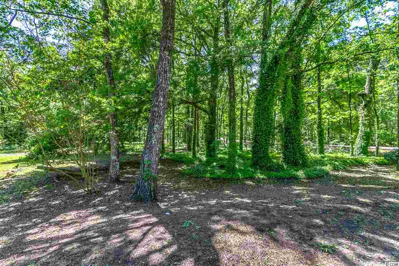 3790 Limerick Road Myrtle Beach, SC 29579 - Photo 28 of 40 Gallery Image 28