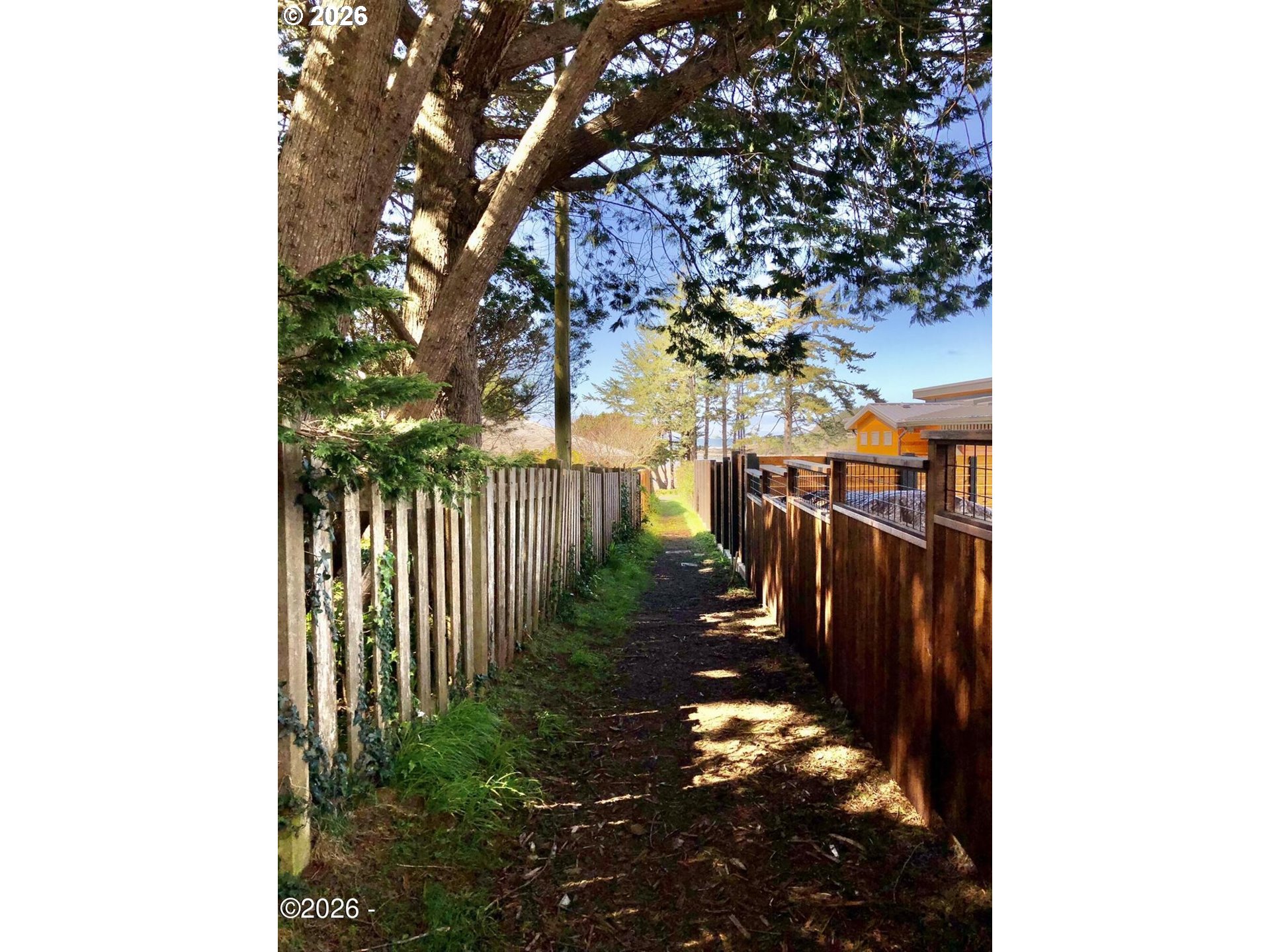 15 Shell Street Yachats, OR 97498 - Photo 44 of 47 a view of a pathway with a tree in front of it