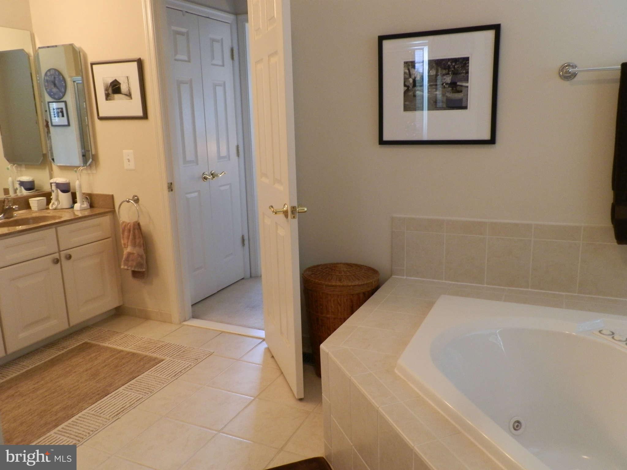18468 South Merrimac Road Culpeper, VA 22701 - Photo 22 of 30 Bath (Master)