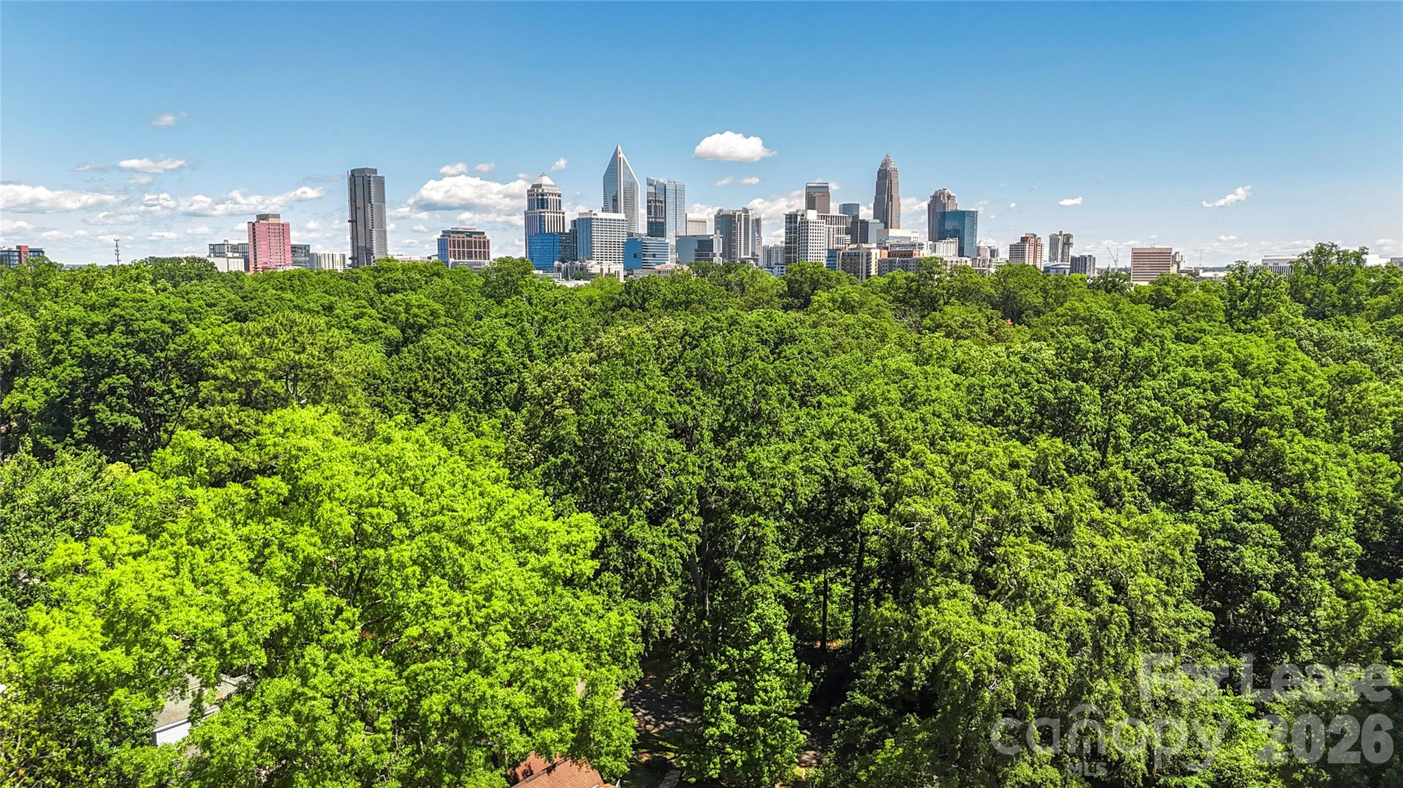 1610 Park Road Charlotte, NC 28203 - Photo 41 of 42