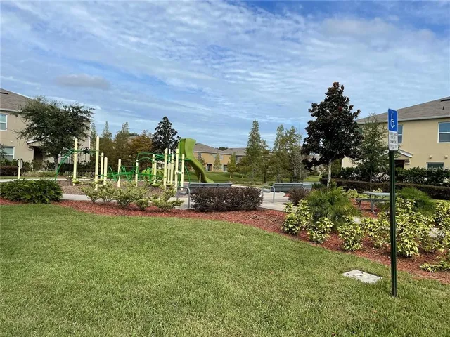 a view of a garden with a tree