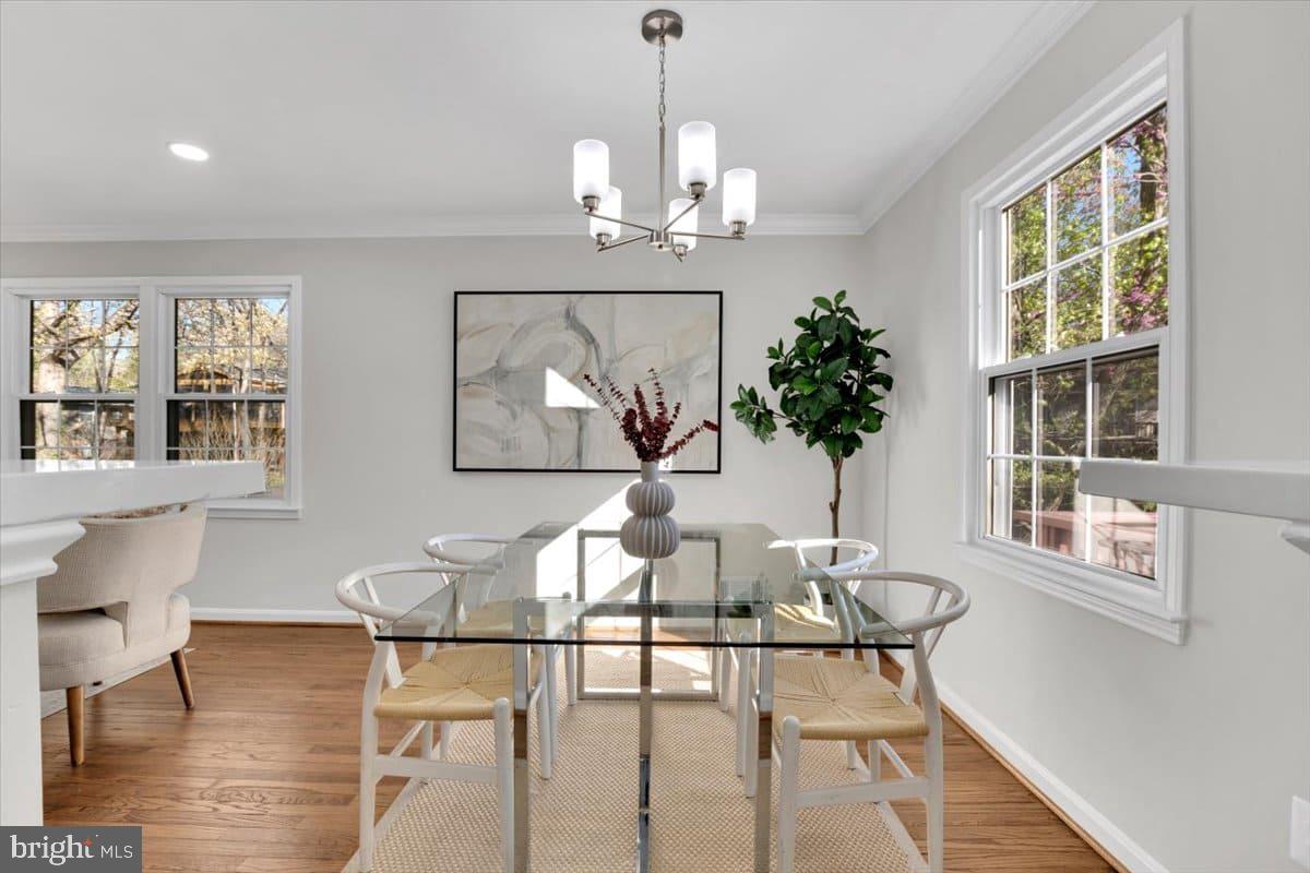 7217 Willow Oak Place Springfield, VA 22153 - Photo 4 of 31