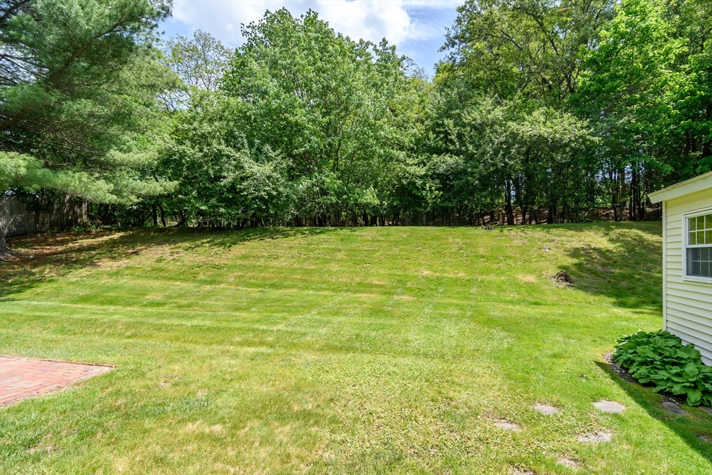 33 Eisenhower Road Framingham, MA 01701 - Photo 19 of 20 a view of a field with a trees in the background