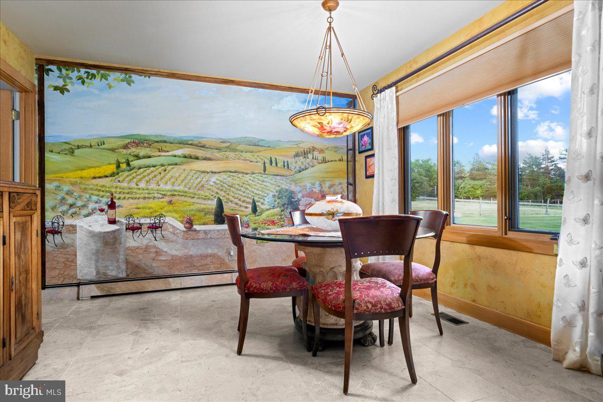1121 Swamp Road Furlong, PA 18925 - Photo 19 of 50 Charming dining with vineyard views.