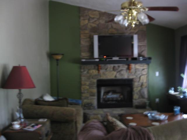 6050 Joppa Mill Road Moneta, VA 24121 - Photo 5 of 13 LIVING ROOM