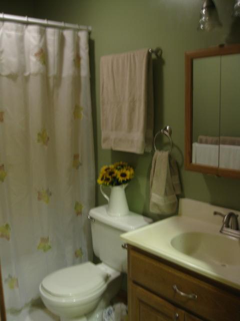 6050 Joppa Mill Road Moneta, VA 24121 - Photo 6 of 13 HALL BATH