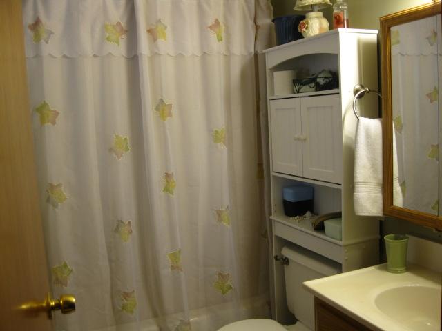 6050 Joppa Mill Road Moneta, VA 24121 - Photo 9 of 13 MASTER BATH