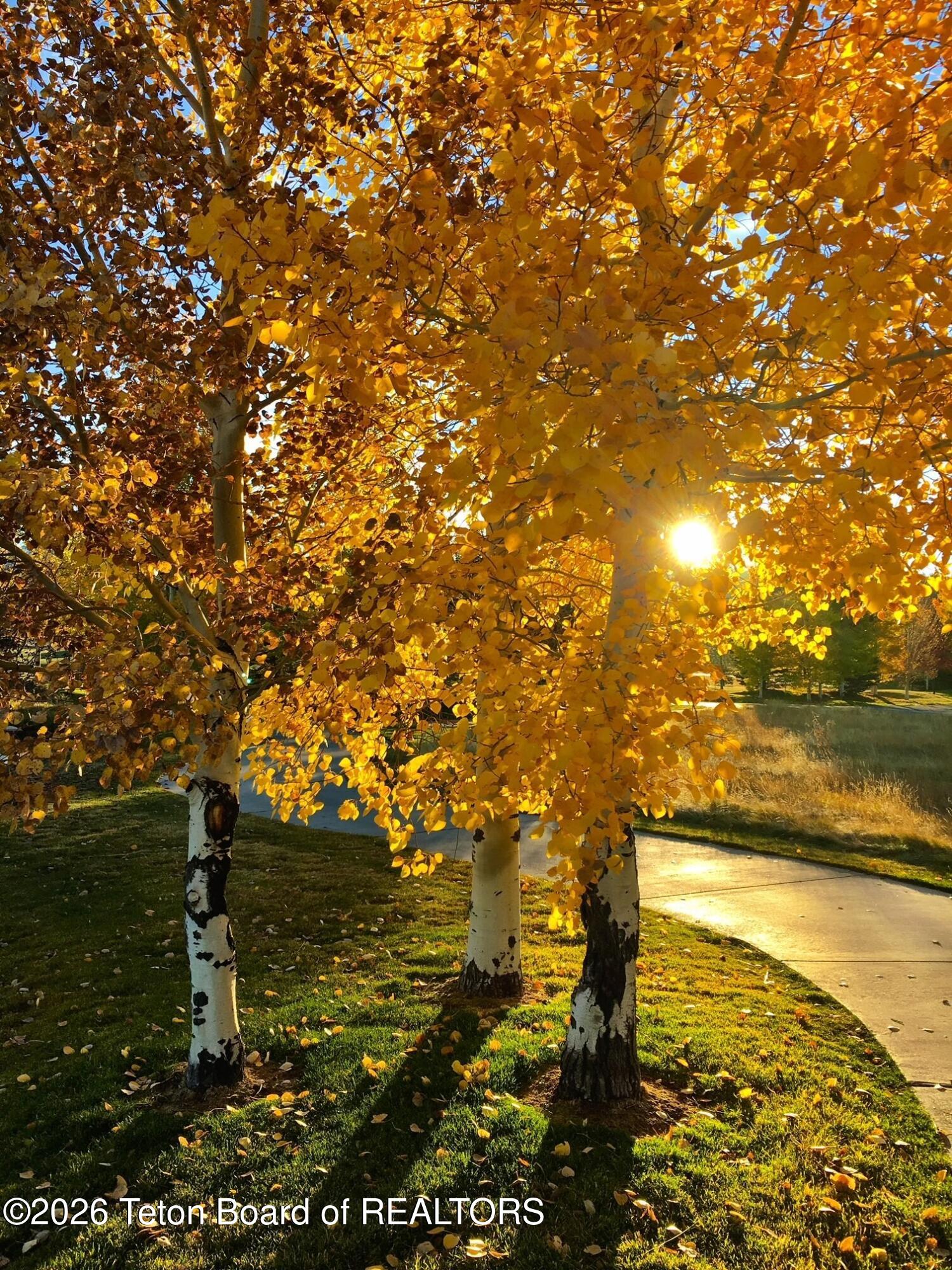 31 Bannock Circle Victor, ID 83455 - Photo 32 of 42 lodge home fall sun and leaves