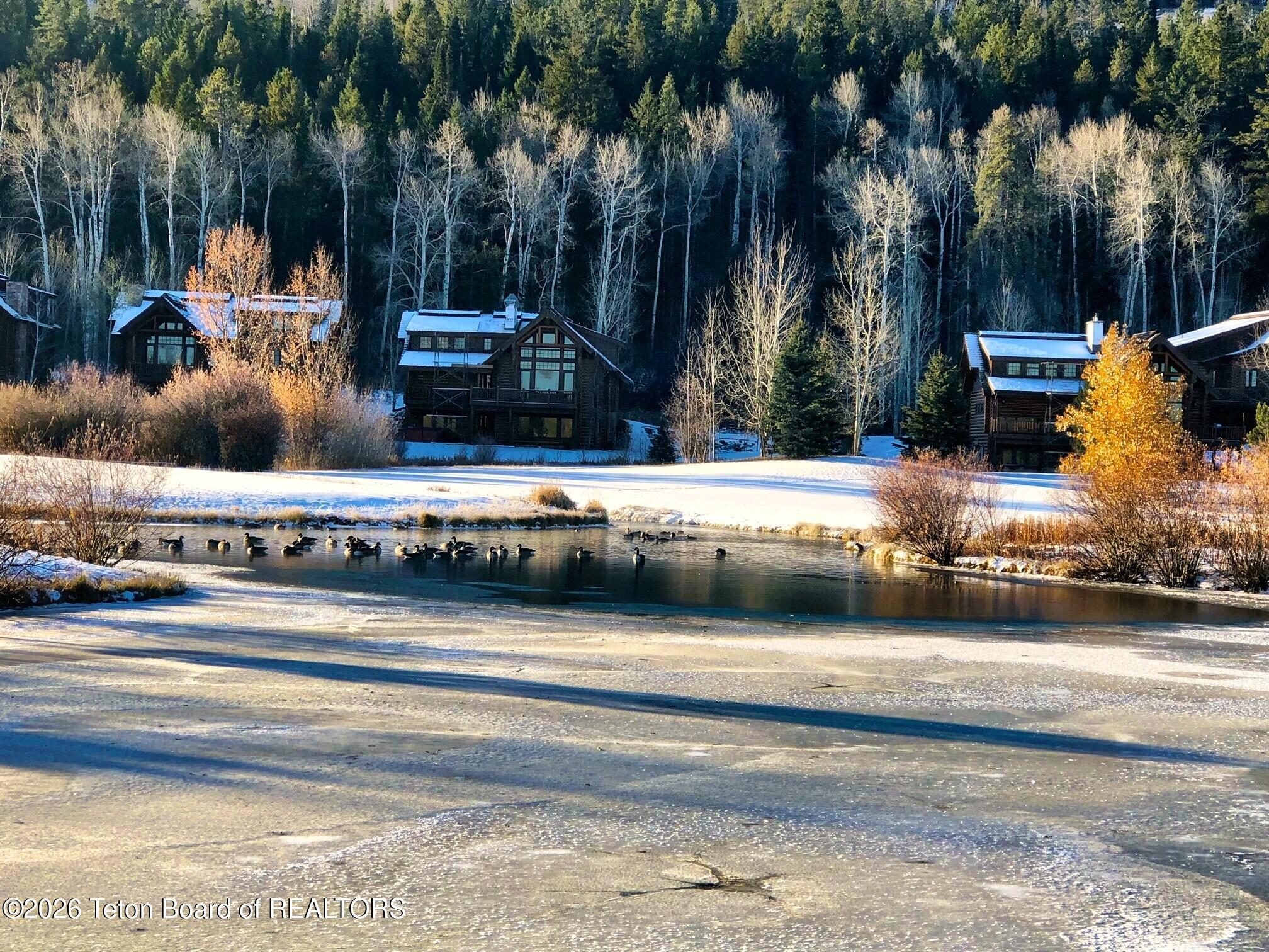 31 Bannock Circle Victor, ID 83455 - Photo 35 of 42 lodge home pics frozen pond with ducs