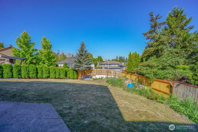 a view of a garden with plants