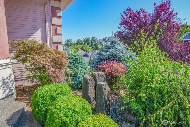 a picture of flowers