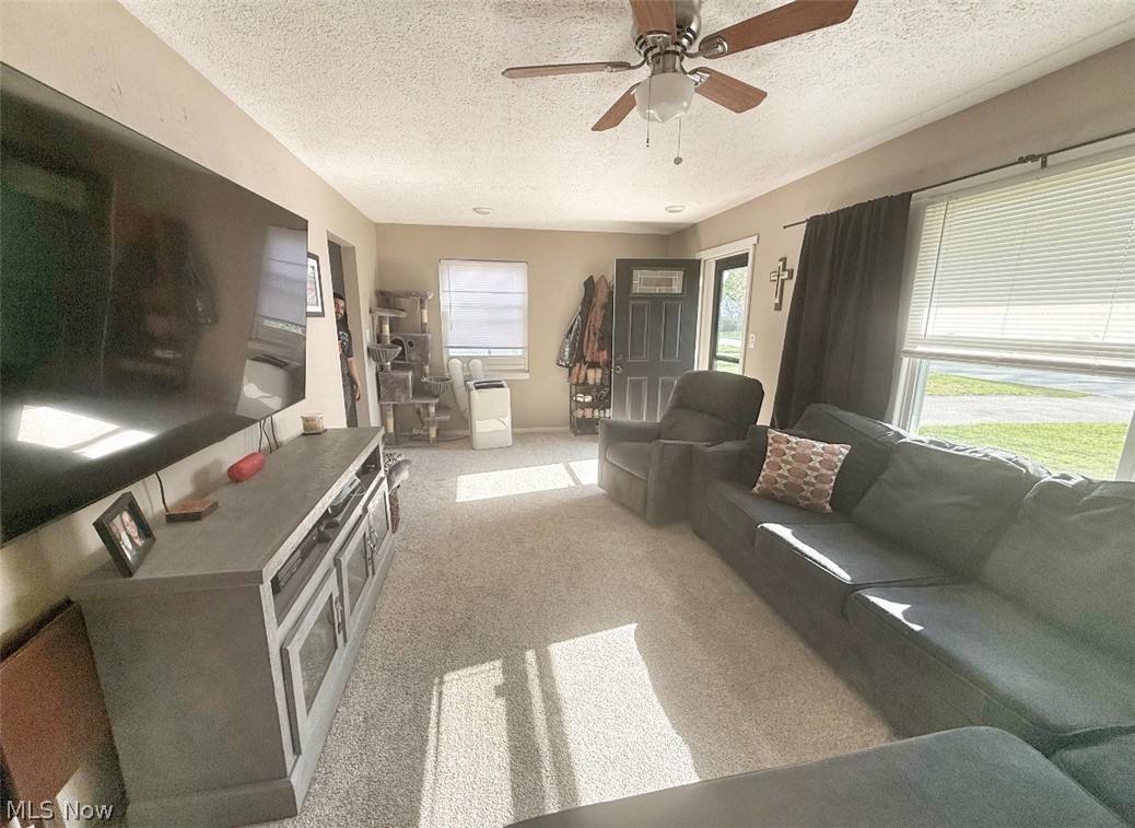 4887 Marigold Road Mentor, OH 44060 - Photo 6 of 16