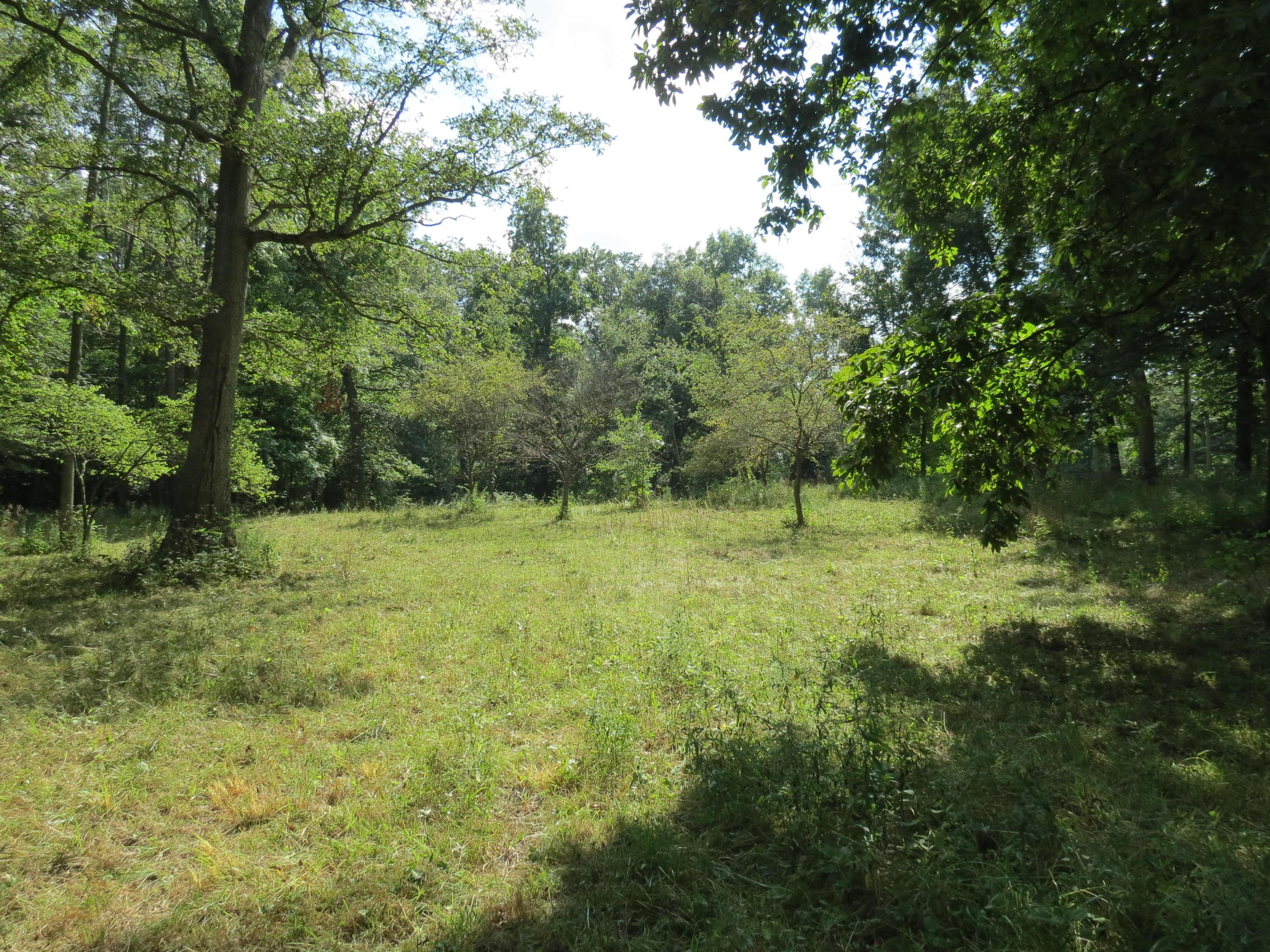3383 Payne-Thompson Road London, OH 43140 - Photo 2 of 6 Gallery Image 2