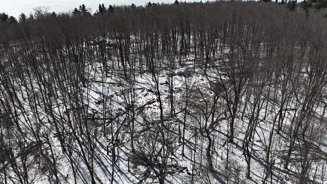 54-55 Wolf Island Road Hayward, WI 54843 - Photo 20 of 20