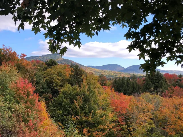 $450 | 46 Packard's Road, Unit 405 WEEK 28, Waterville Valley, NH 03215