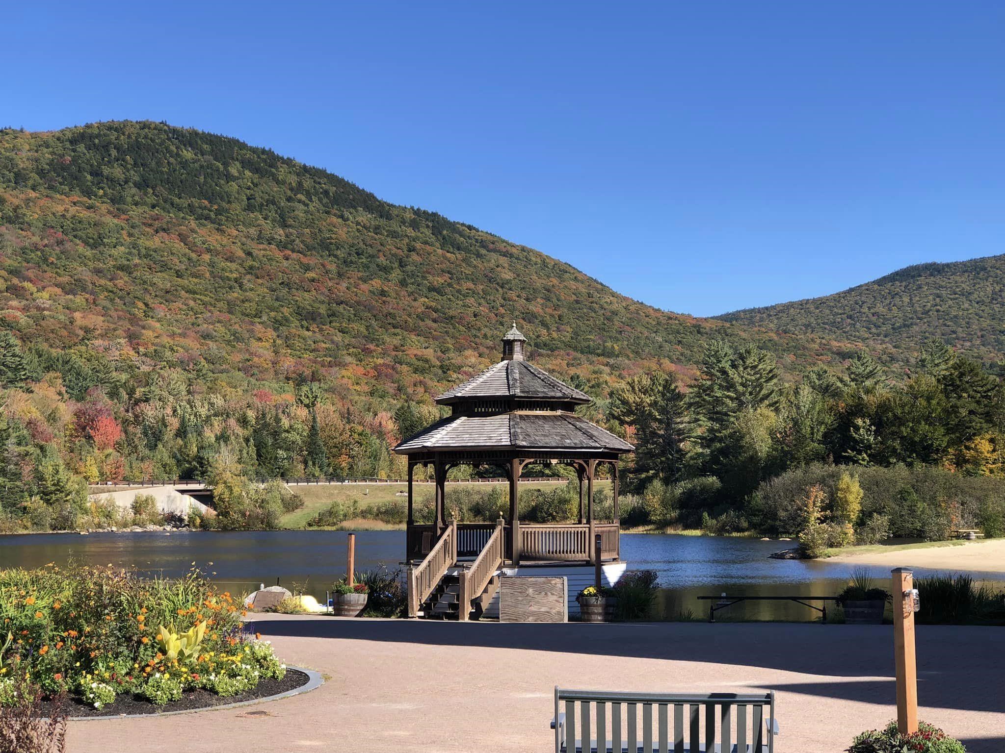 46 Packard's Road, Unit 405 WEEK 28 Waterville Valley, NH 03215 - Photo 14 of 33