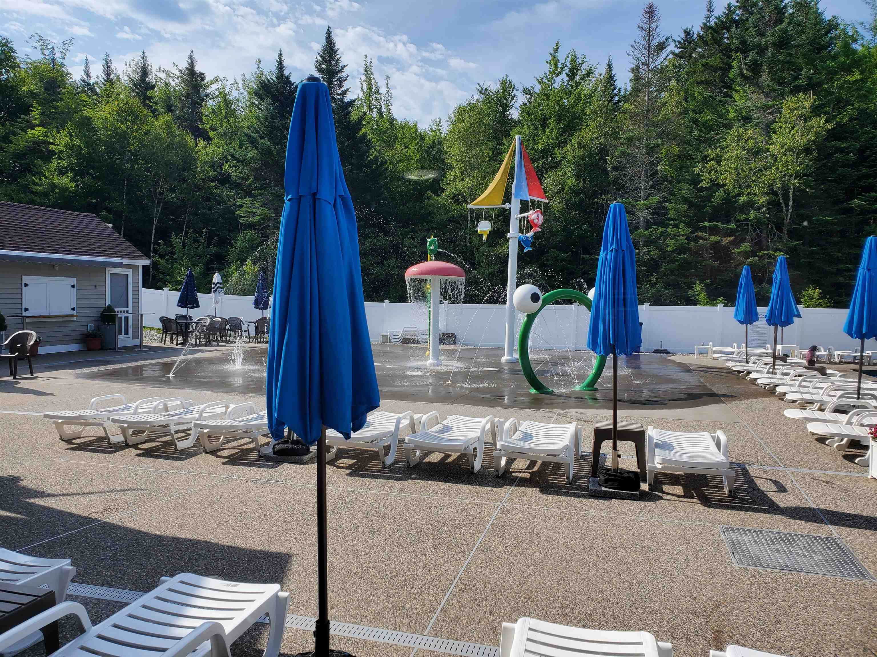 46 Packard's Road, Unit 405 WEEK 28 Waterville Valley, NH 03215 - Photo 20 of 33