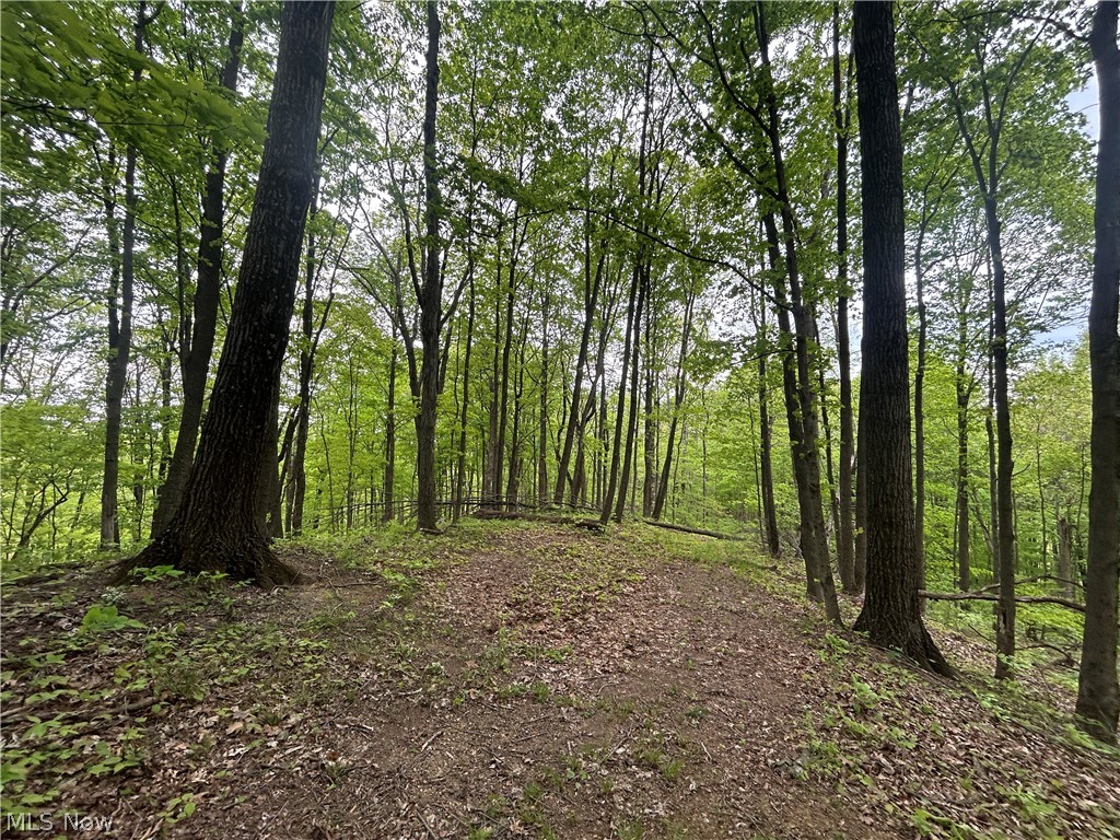 38975 Ogles Ridge Road Dexter City, OH 45727 - Photo 23 of 42