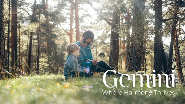 $165,990 | 2481 Twin Court, Splendora, TX 77372