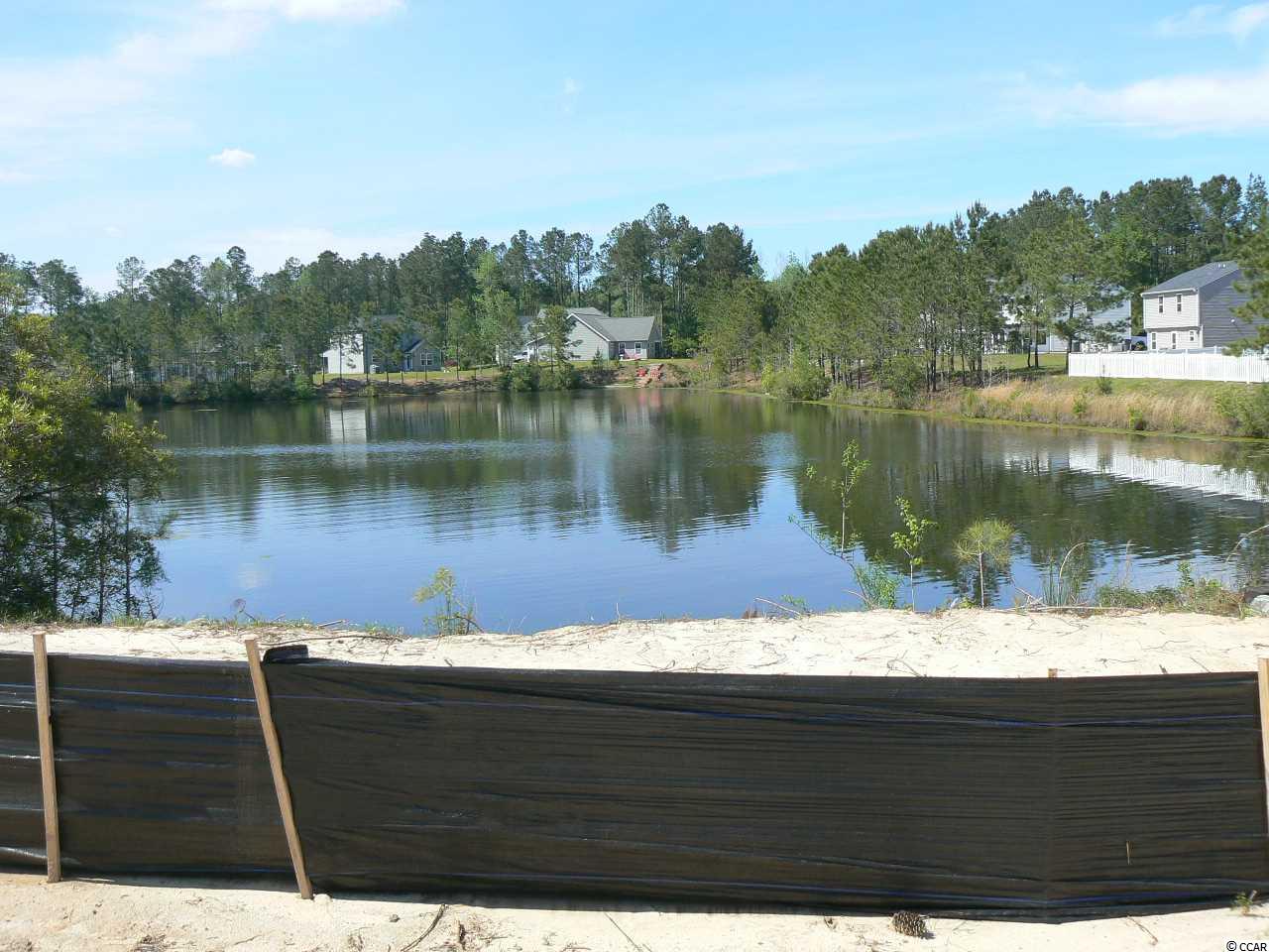 197 Winding Path Drive Loris, SC 29569 - Photo 17 of 25 Gallery Image 17