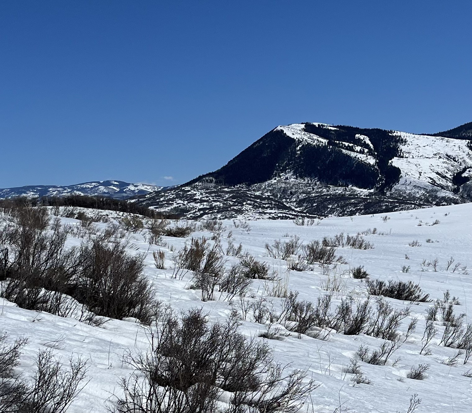 46 Routt County Road Steamboat Springs, CO 80487 - Photo 22 of 23 a mountain view