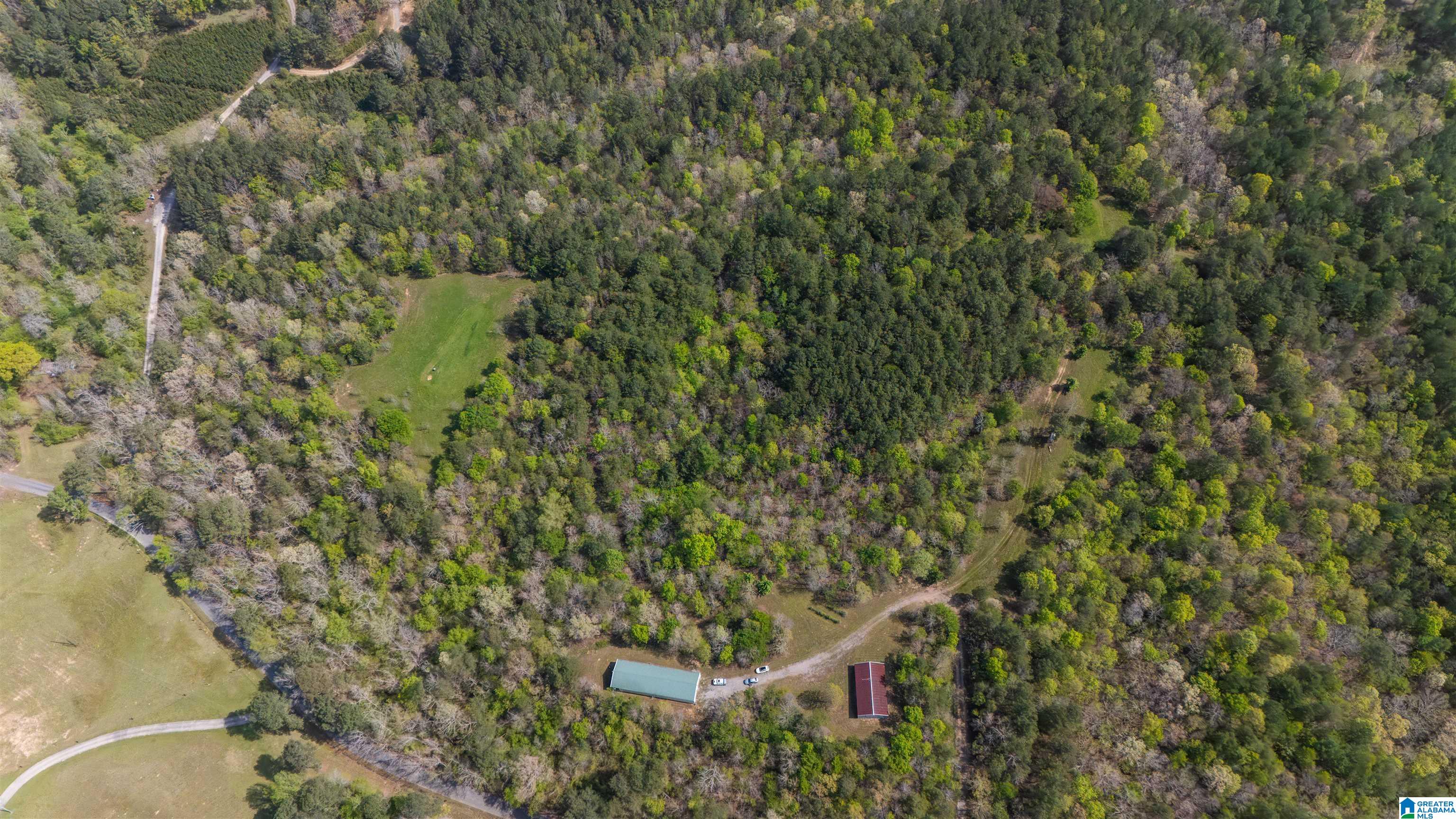 2121 Center Hill Road Trafford, AL 35172 - Photo 53 of 100
