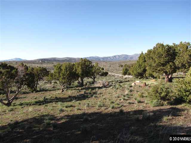 14465 Hope Lane, Unit 75 Reno, NV 89508 - Photo 1 of 7 a view of a mountain range with a forest