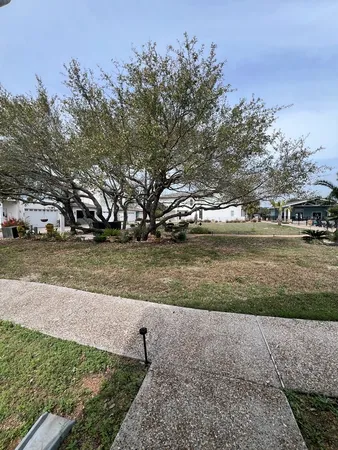 a view of yard with green space
