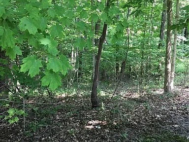 3291 Hancock Ridge Road Martinsville, IN 46151 - Photo 1 of 2