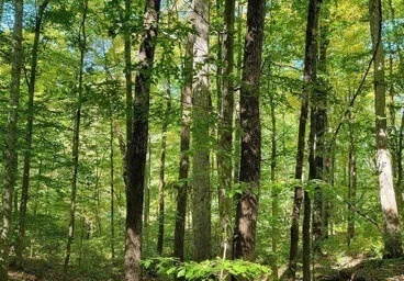3291 Hancock Ridge Road Martinsville, IN 46151 - Photo 2 of 2