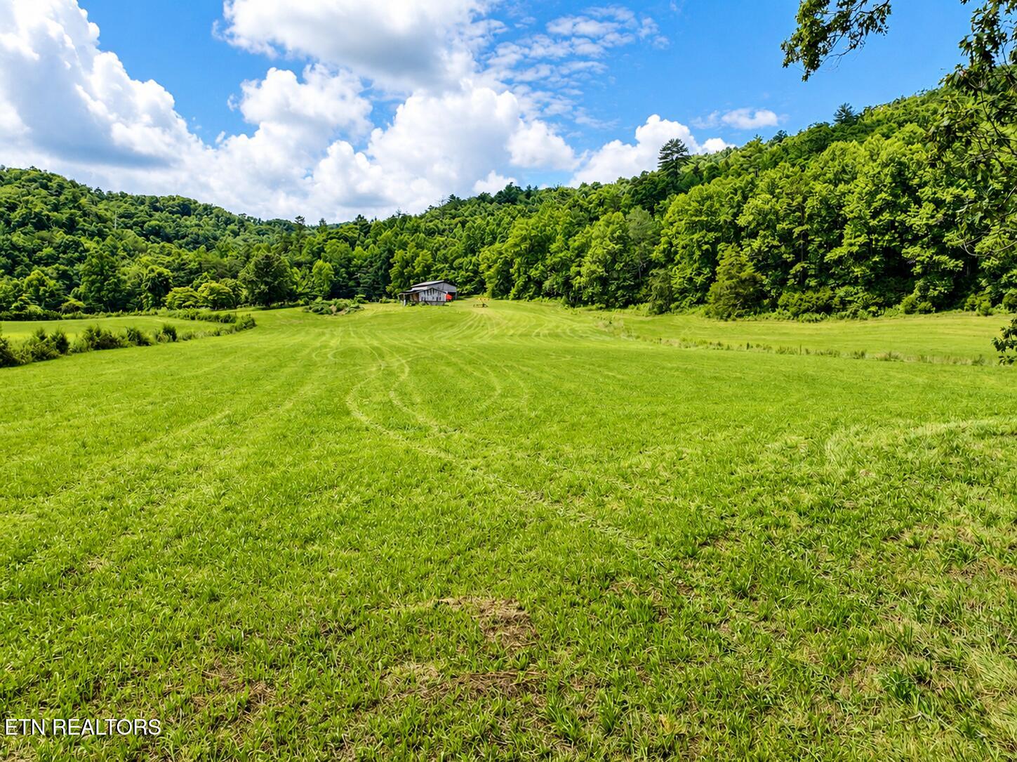7914 Brimstone Road Robbins, TN 37852 - Photo 35 of 57 699F0F79-FC1C-4E86-B60C-F94CE1775E0A