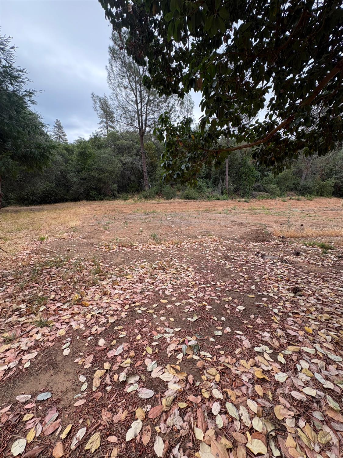 16079 Vierra Road Rackerby, CA 95972 - Photo 3 of 3 Gallery Image 3