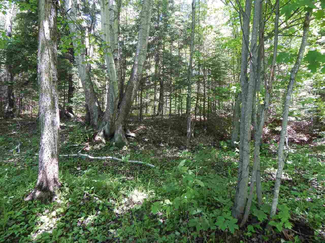 2434 Low Highrolloway Road Manistique, MI 49854 - Photo 54 of 96 1802122-54.JPG