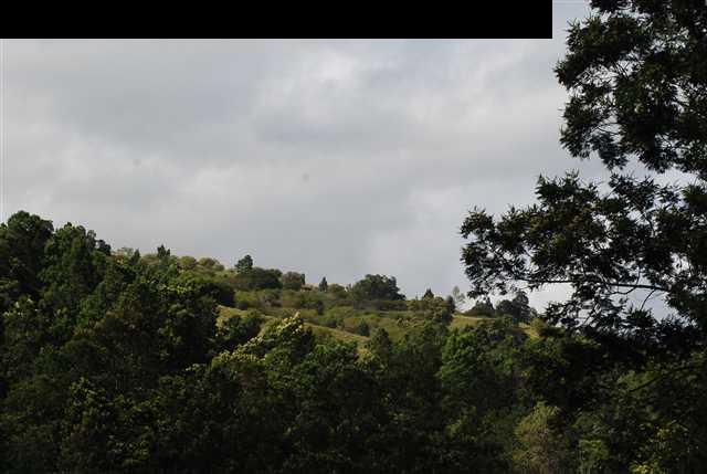 186 Laumania Road, Unit 34B1D Kula, HI 96790 - Photo 3 of 5 a view of a lake