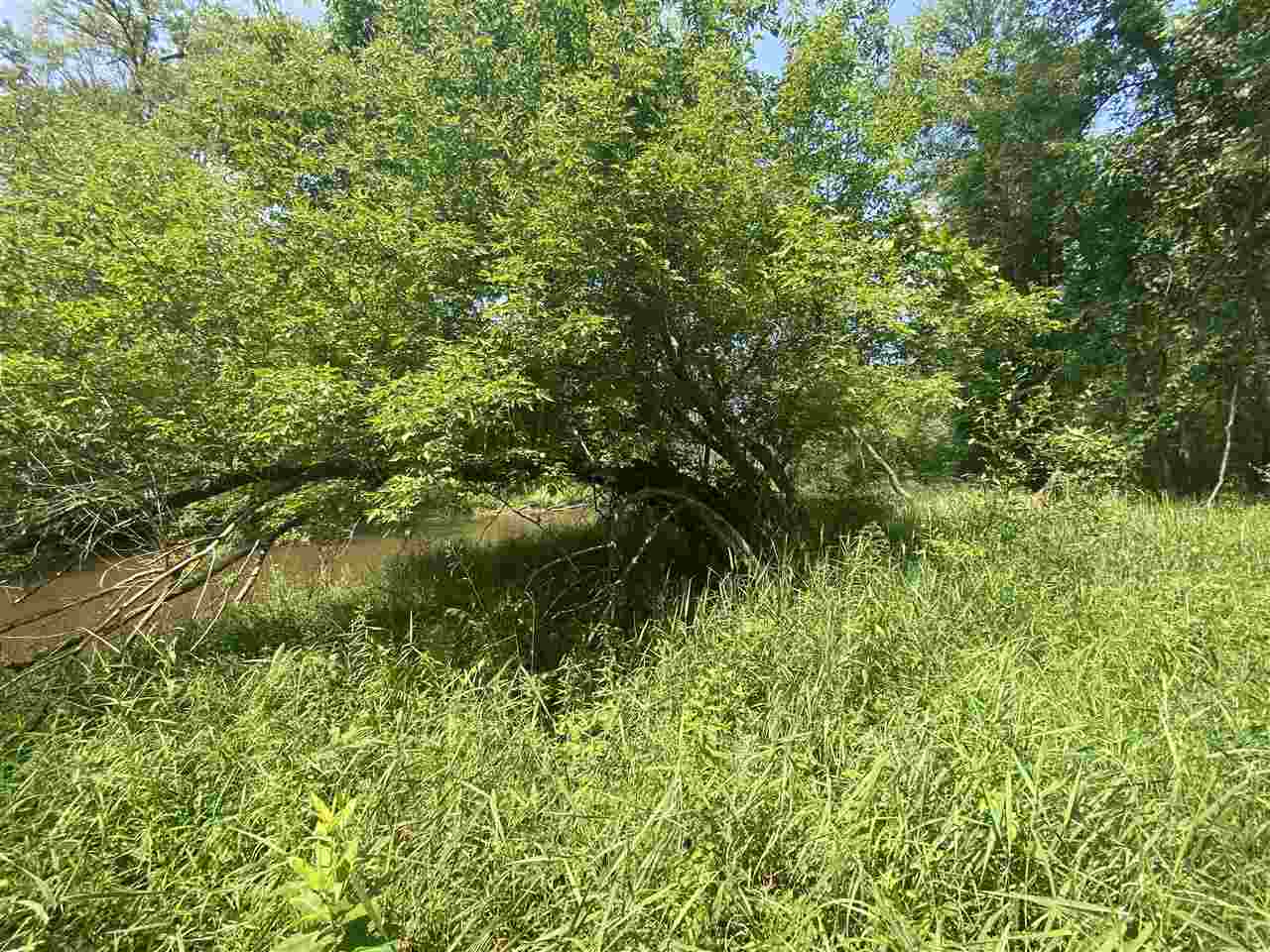 0 Briggs Road Omer, MI 48749 - Photo 37 of 45