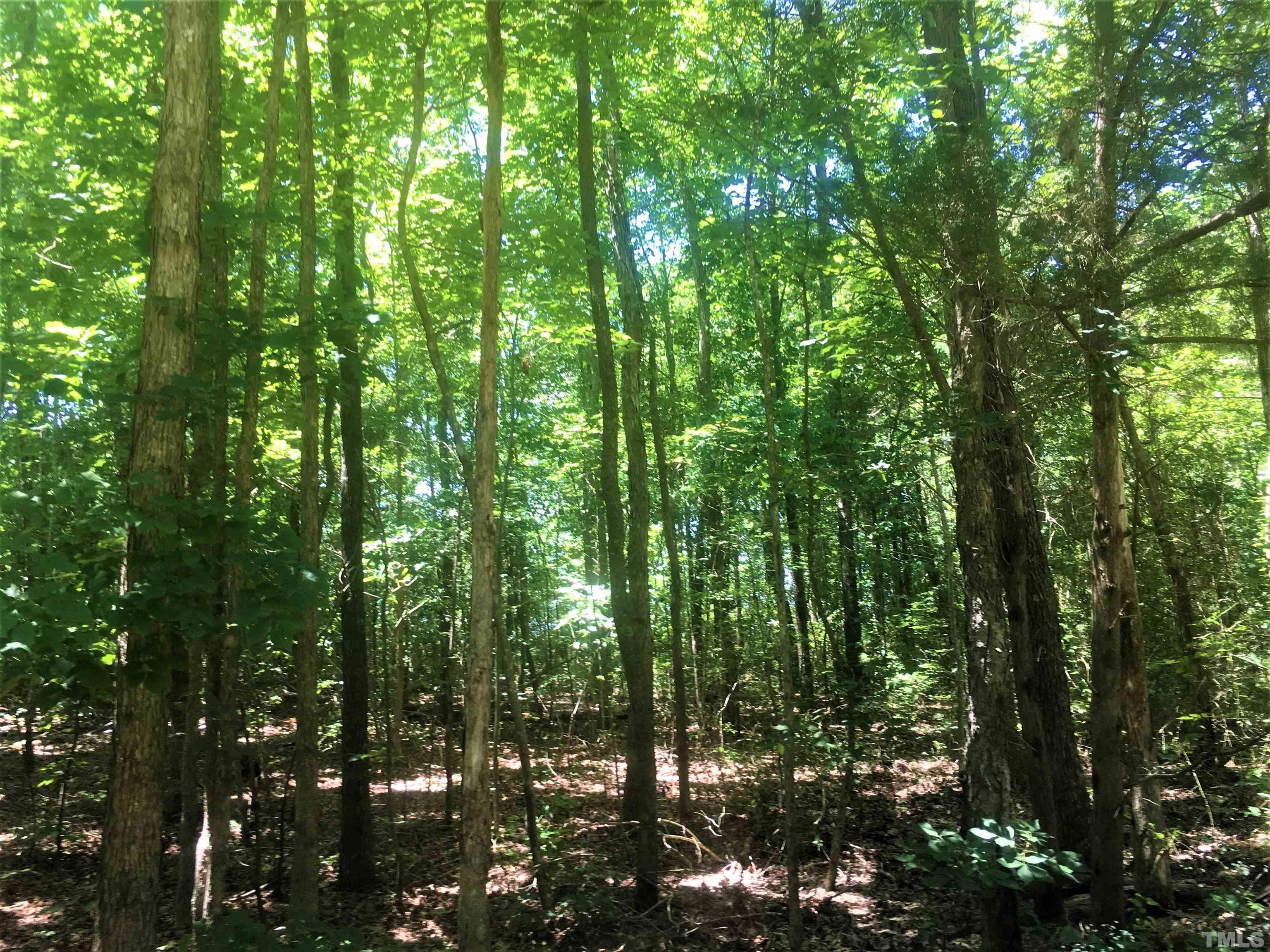 Tbd Mt View Church Road Moncure, NC 27559 - Photo 1 of 10 Gallery Image 1