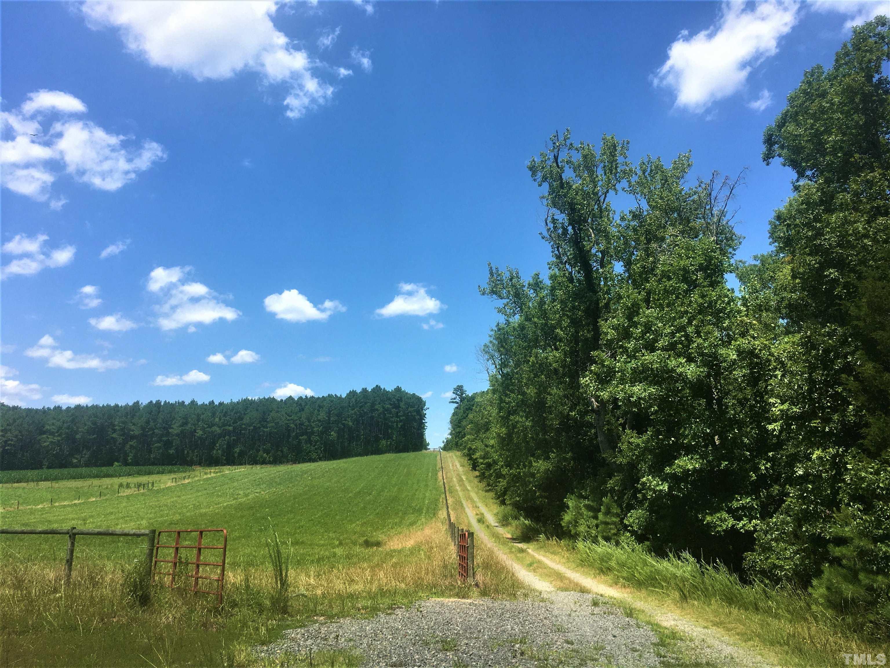 Tbd Mt View Church Road Moncure, NC 27559 - Photo 5 of 10 Gallery Image 5