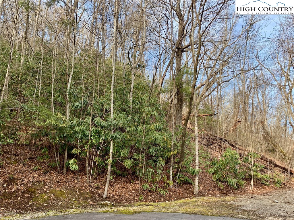 6150 Hemlock Road Newland, NC 28657 - Photo 2 of 4 Gallery Image 2
