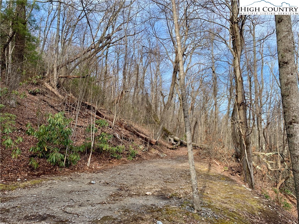 6150 Hemlock Road Newland, NC 28657 - Photo 3 of 4 Gallery Image 3