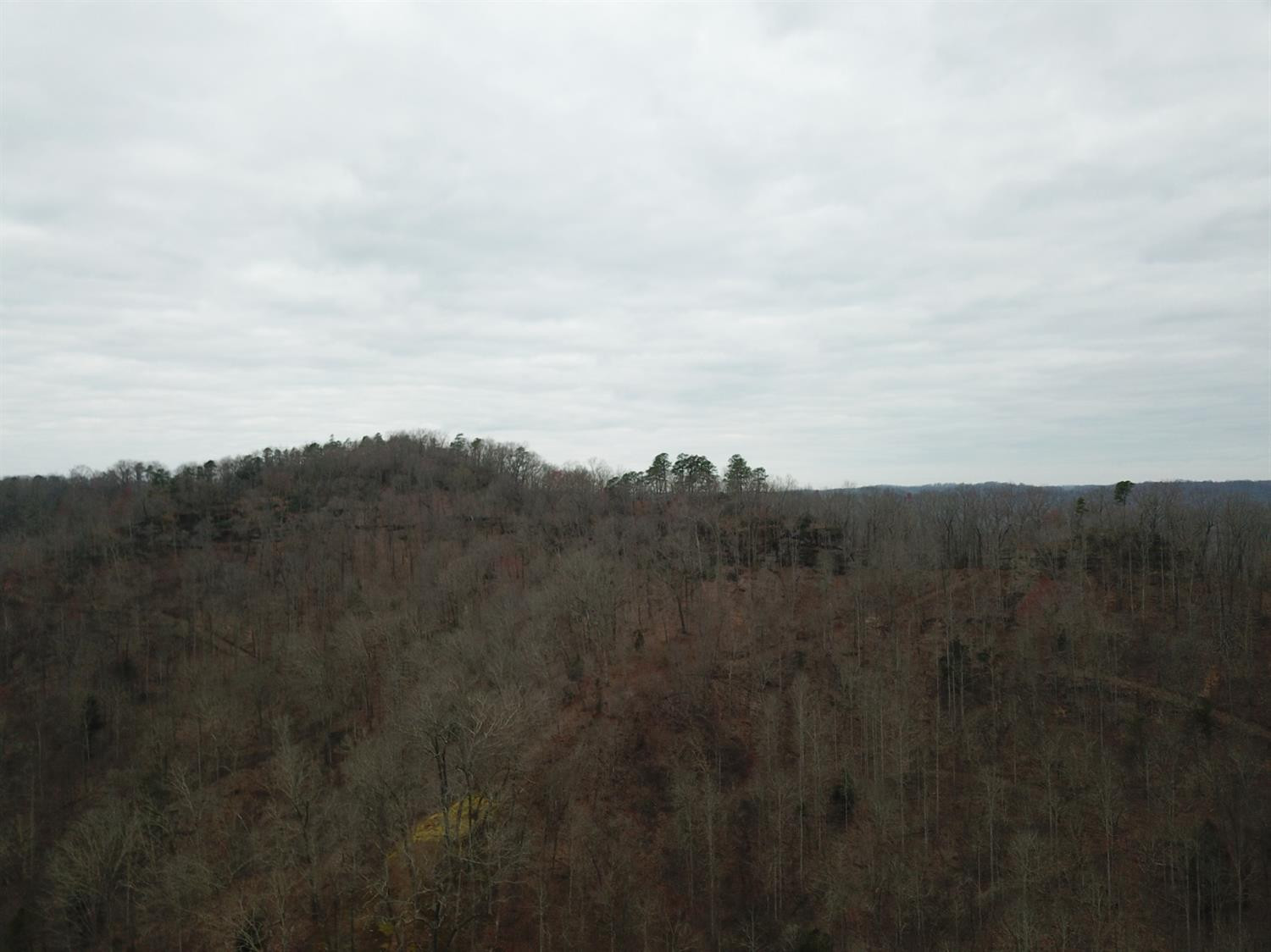 186 Viney Bottom Road McKee, KY 40447 - Photo 30 of 47 Listing Photo