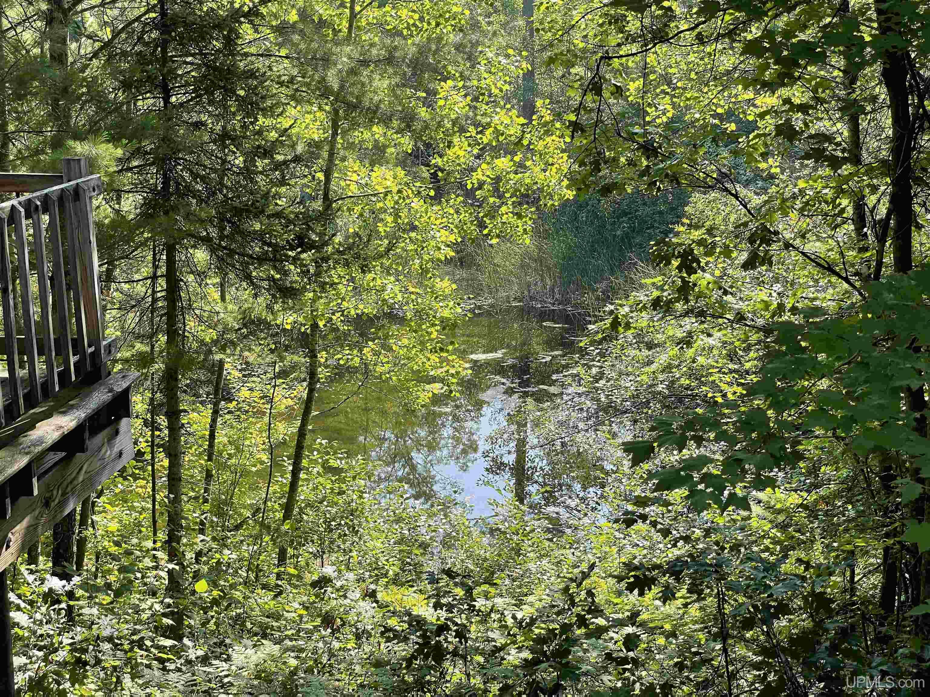 W11894 Jones Road Athelstane, WI 54104 - Photo 24 of 44