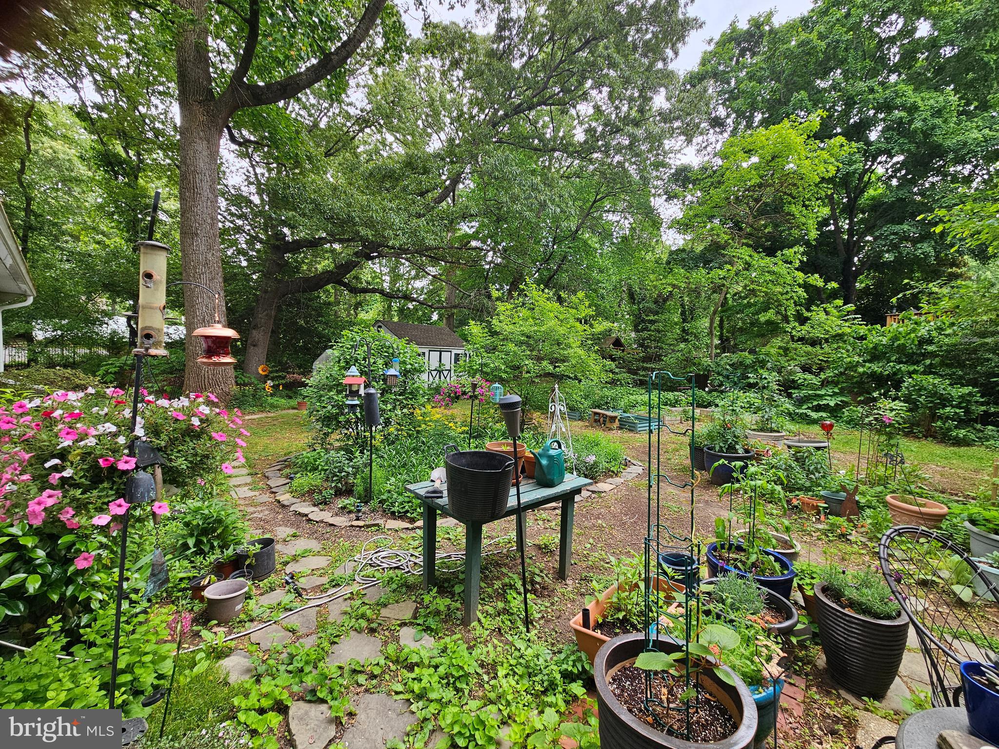 919 Blue Ridge Drive Annapolis, MD 21409 - Photo 4 of 30 a backyard of a house with lots of green space and some trees